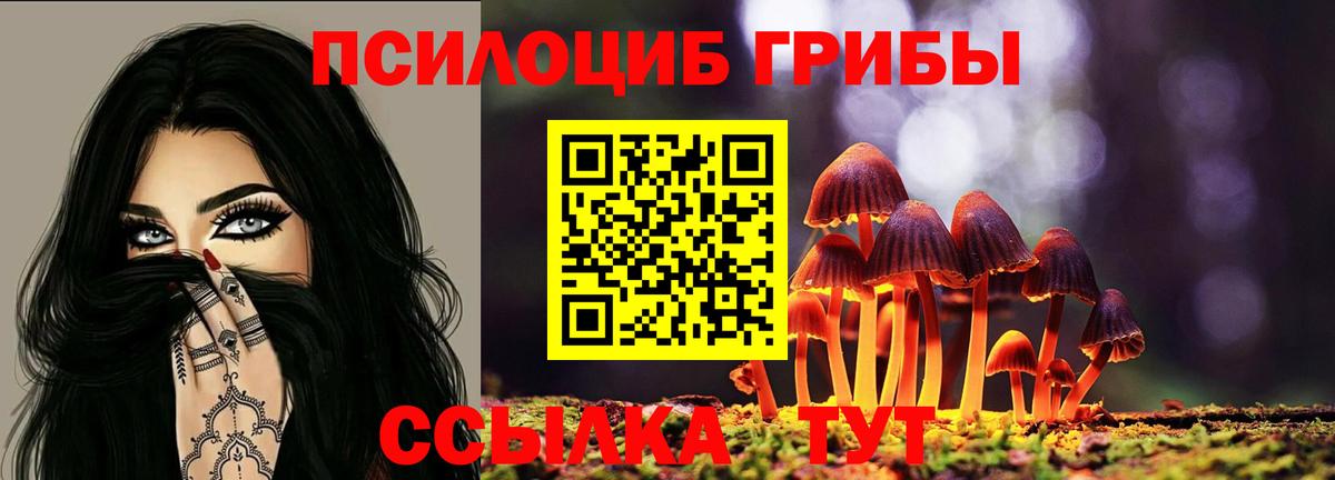 Псилоцибиновые грибы прущие грибы  Псилоцибиновые грибы ЛСД  Ржев  Вход с VPN 